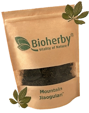 Jiaogulan Bio-Tee 100g Premium Qualität